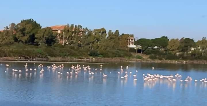Turismo Rurale Pertunghe Villa Sant' Antonio di Santadi Exteriör bild